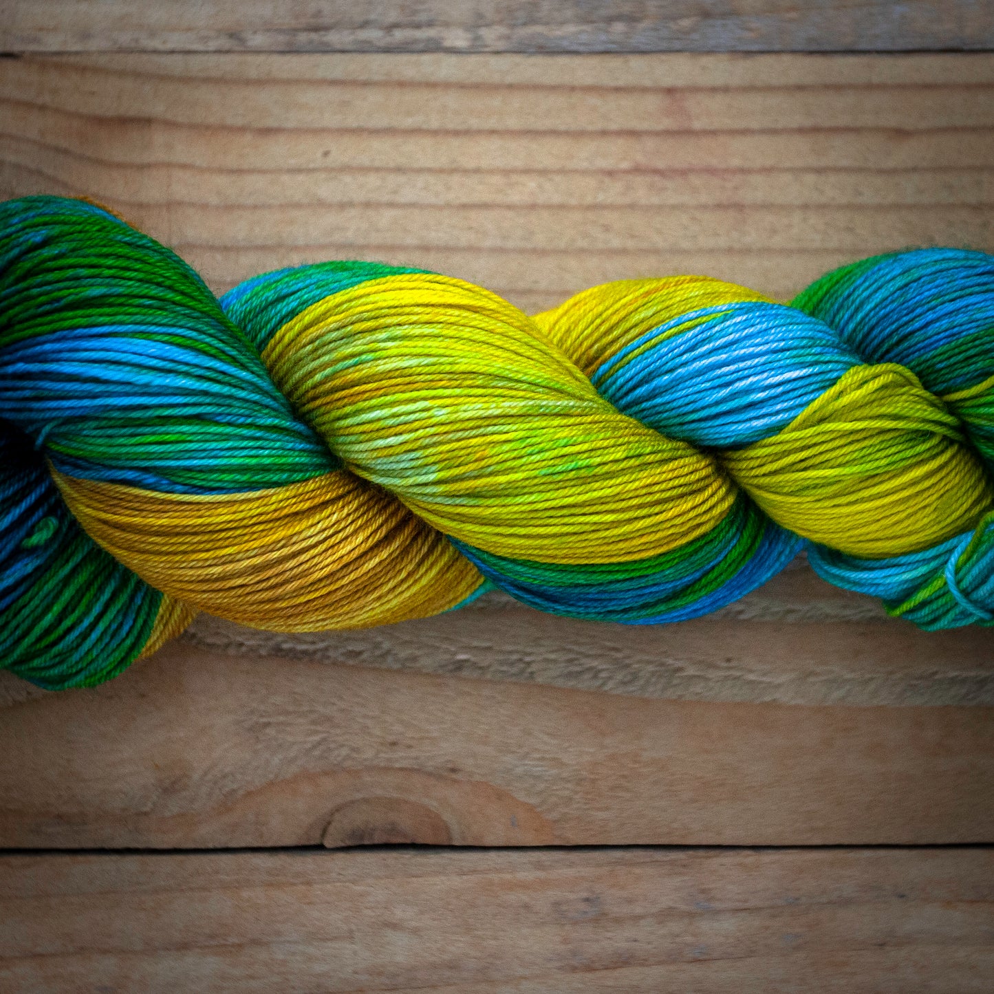 "Hidden Treasures" - hand dyed yarn