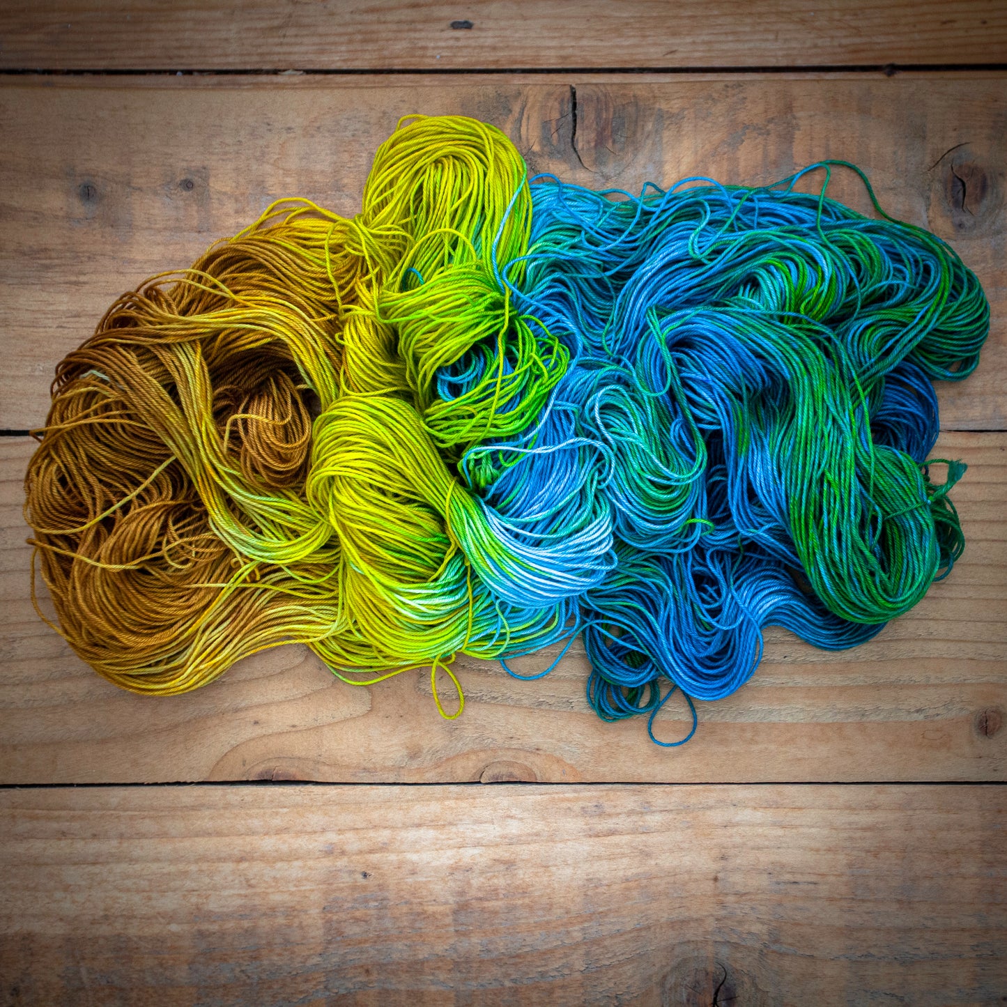 "Hidden Treasures" - hand dyed yarn