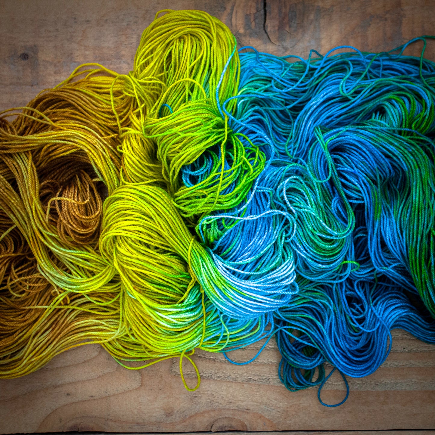 "Hidden Treasures" - hand dyed yarn