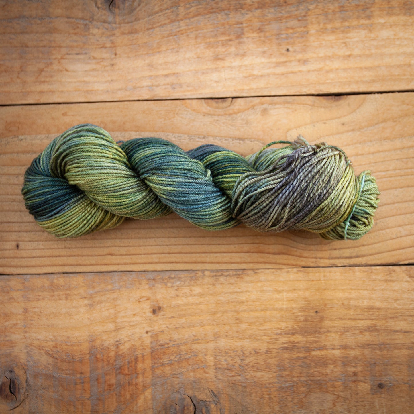 100% Superwash Bluefaced Leicester - DK weight - hand dyed yarn - Ready to Ship