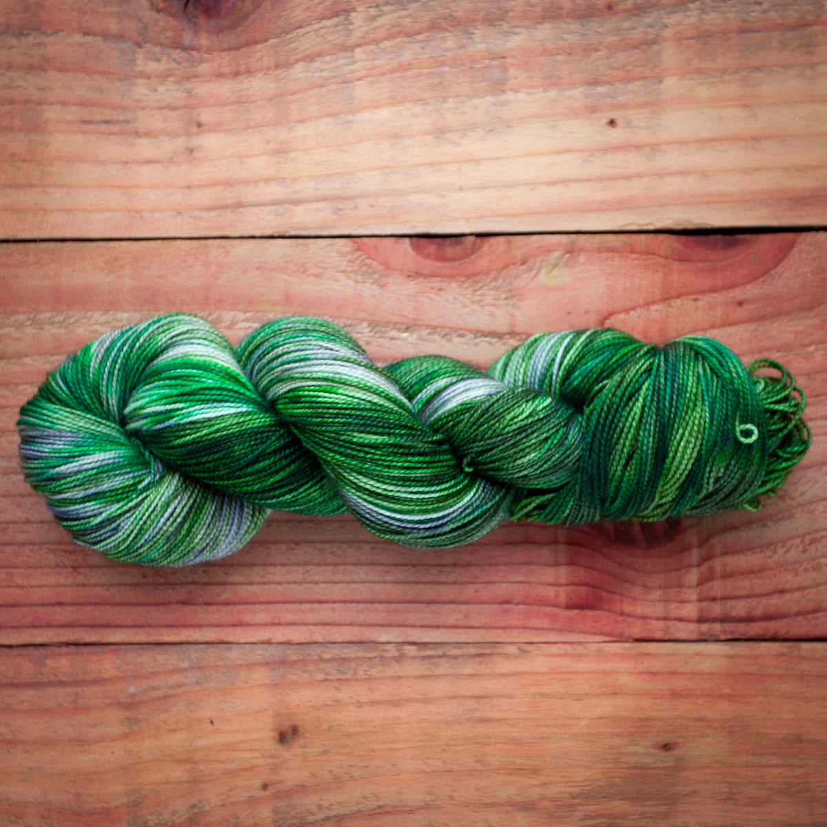 "Winter Woodlands" - hand dyed yarn