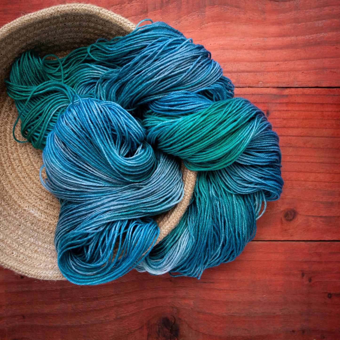 "Coastal Living" - hand dyed yarn